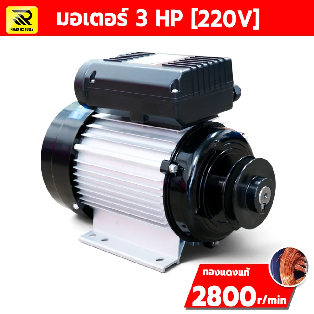 มอเตอร์ไฟฟ้า ETP 3 HP 220V รุ่น MY100L1-2 รอบเร็ว 2800 RPM ขดลวดทองแดง