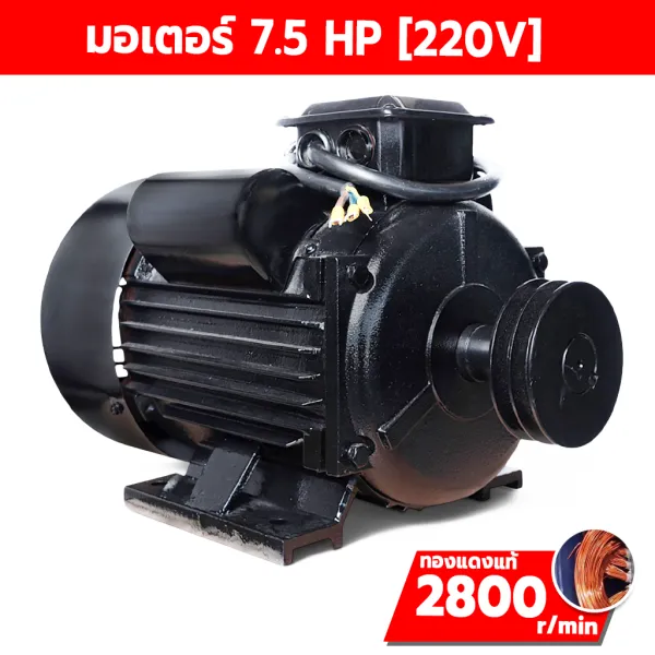 มอเตอร์ไฟฟ้า ETP 7.5 HP 220V รอบเร็ว 2800 RPM ขดลวดทองแดง
